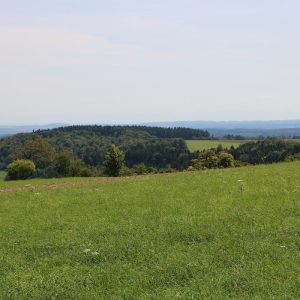 Umwelt-Nachhaltigkeit-02